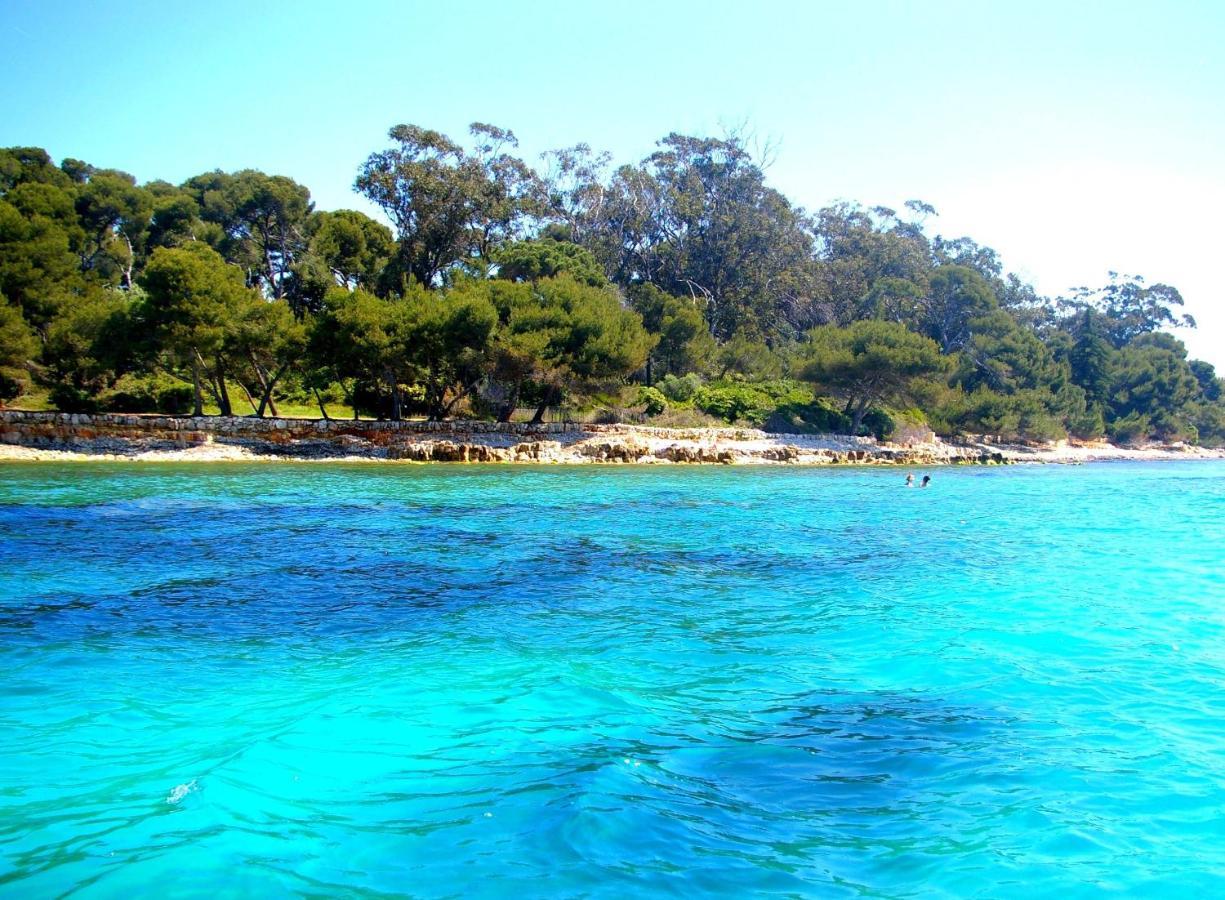 Magnifique "Gite De La Garoupe" Au Cap D'Antibes A 300M Des Plages Exterior foto